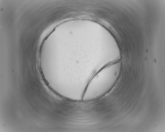 X0000077371520200611171935