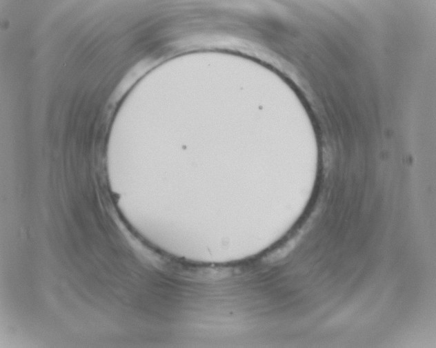 X0000077371521200611171935