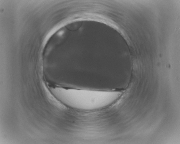 X0000077371522200611171935