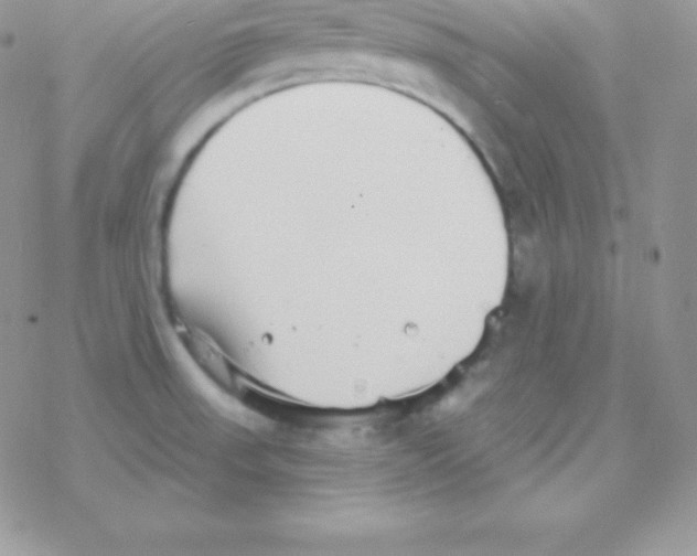 X0000077371523200611171935