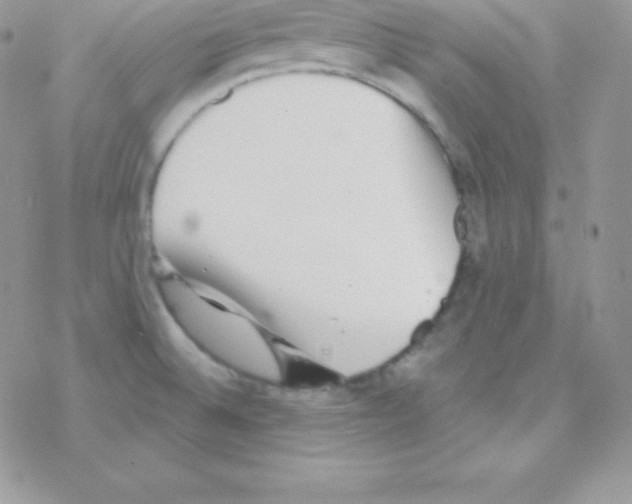 X0000077371524200611171935