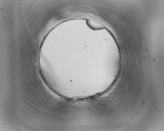 X0000077371525200611171935