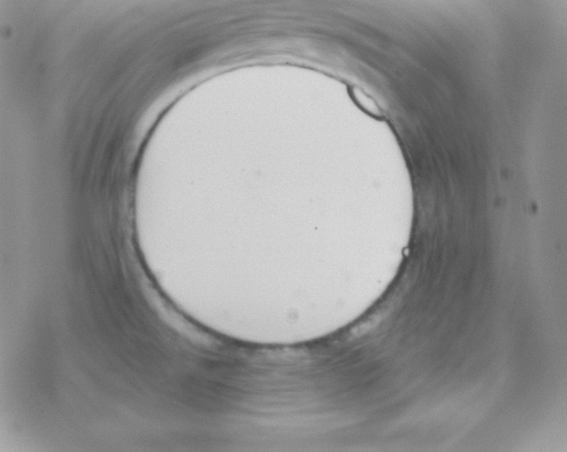 X0000077371526200611171935