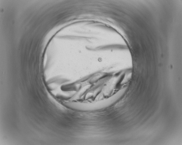 X0000077371527200611171935