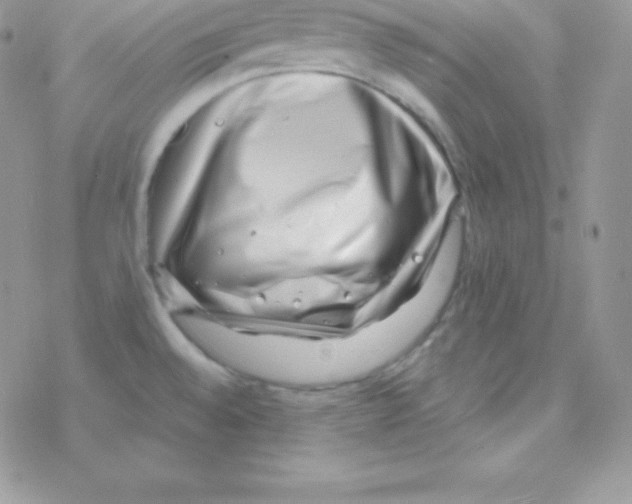 X0000077371528200611171935