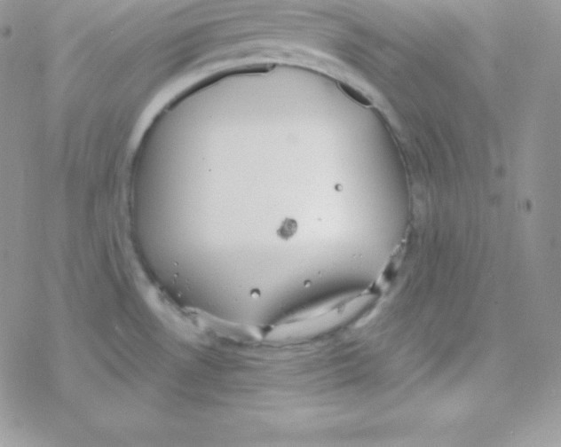 X0000077371530200611171935