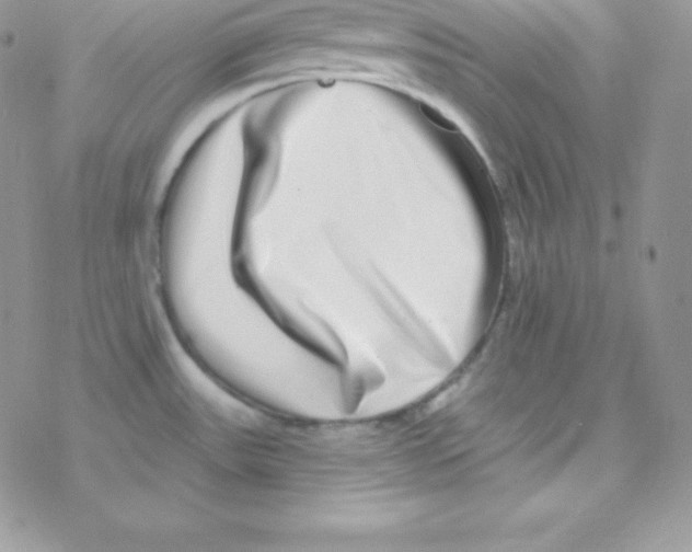 X0000077371531200611171935