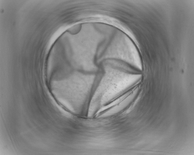 X0000077371533200611171936