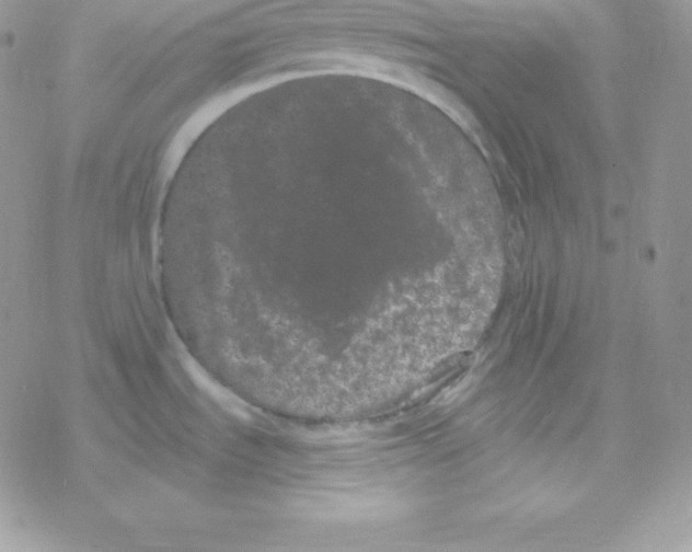 X0000077371535200611171936