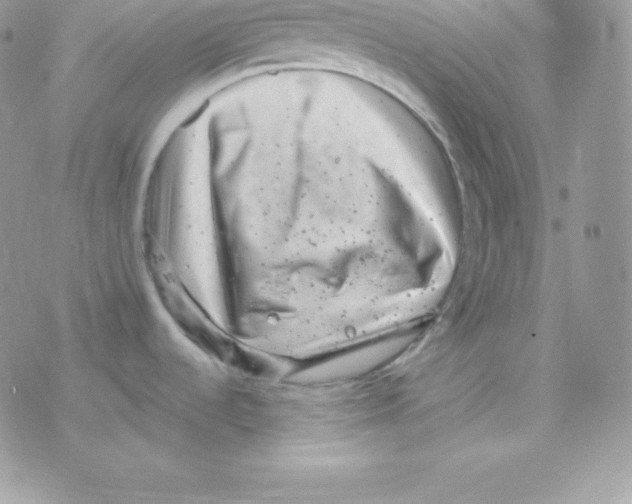 X0000077371536200611171936