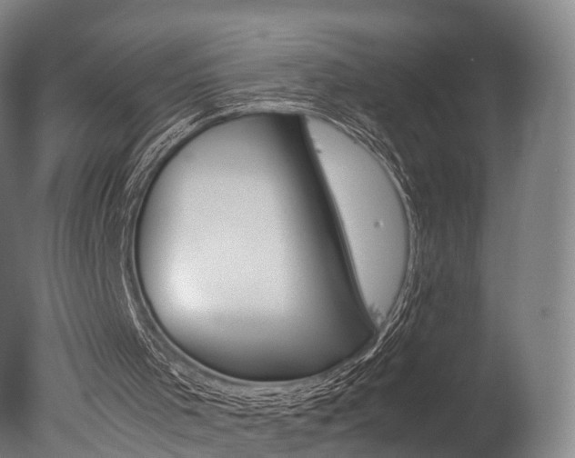 X0000077380001200610201055