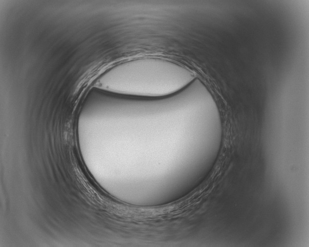 X0000077380002200610201055