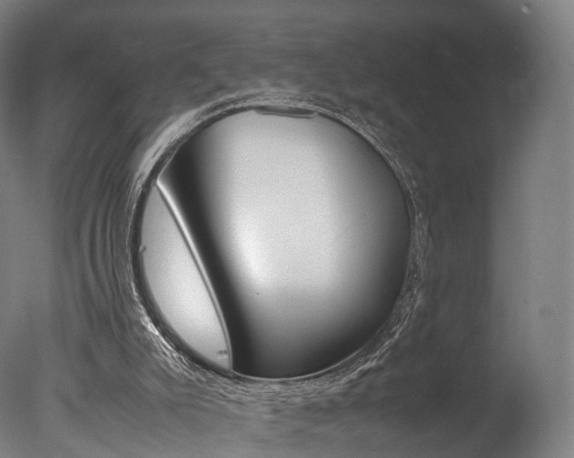 X0000077380007200610201055