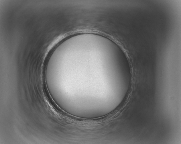 X0000077380008200610201055