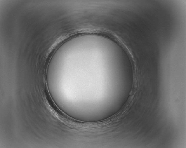 X0000077380011200610201055