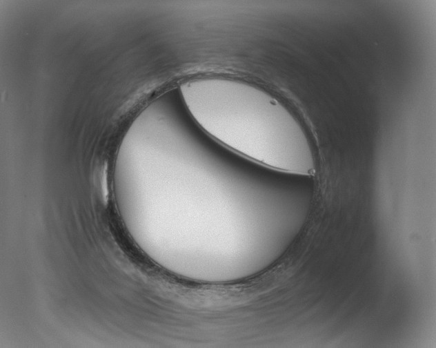 X0000077380020200610201054