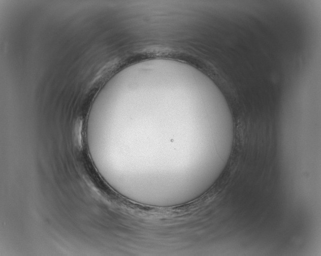 X0000077380024200610201054