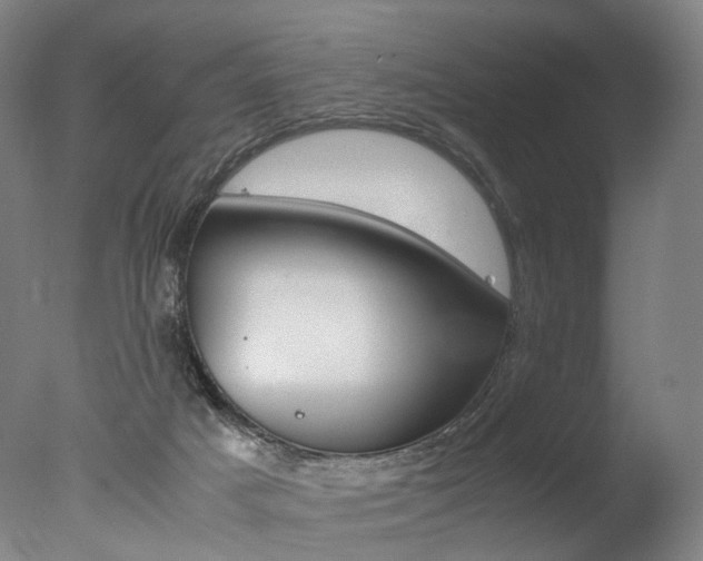 X0000077380025200610201054