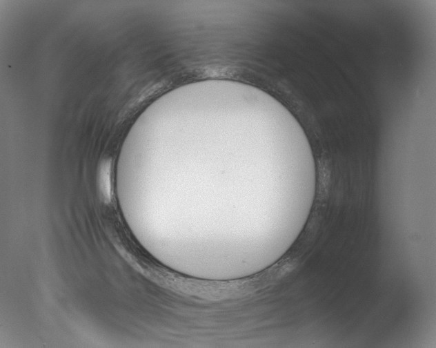 X0000077380028200610201054