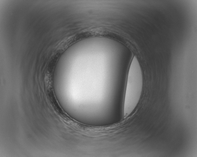 X0000077380029200610201054