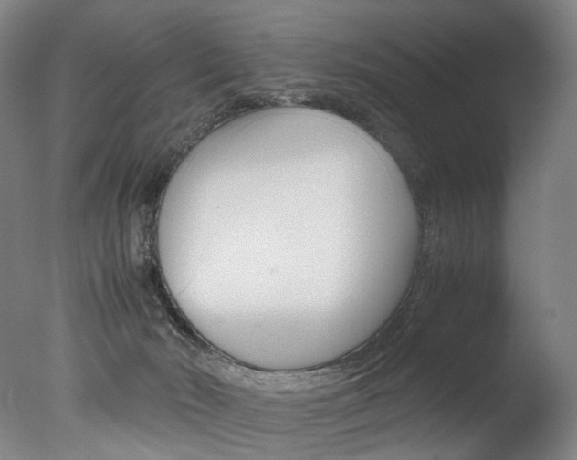 X0000077380030200610201054