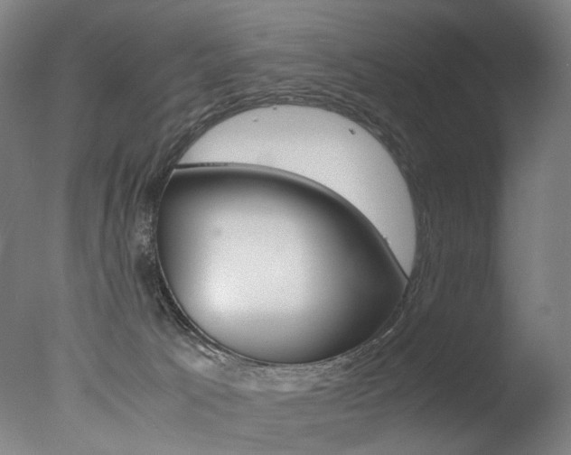 X0000077380033200610201054