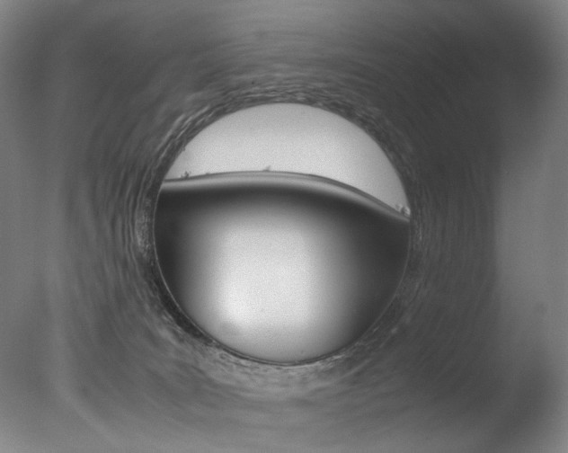 X0000077380035200610201054