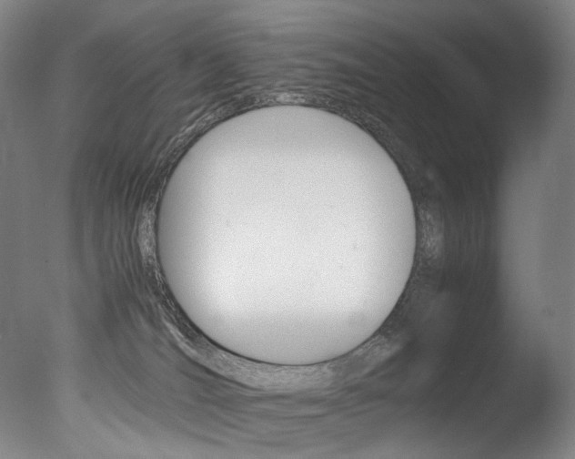 X0000077380036200610201054