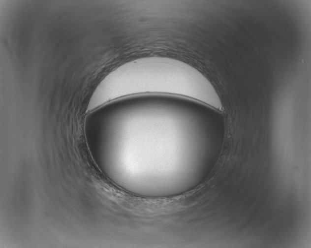 X0000077380037200610201054