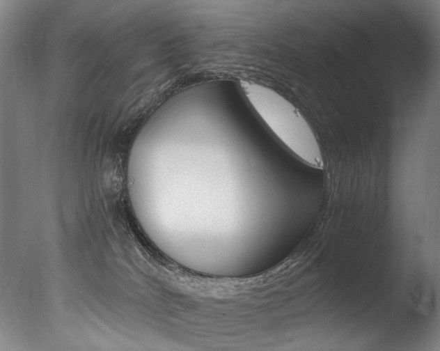X0000077380040200610201054