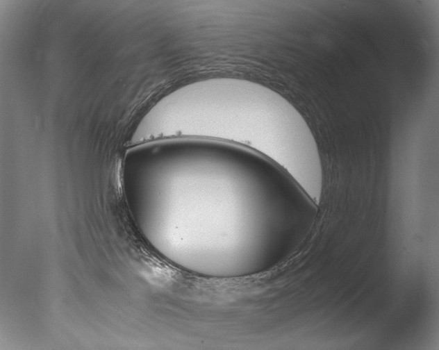 X0000077380041200610201054