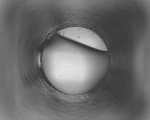 X0000077380042200610201054