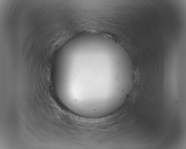 X0000077380043200610201054