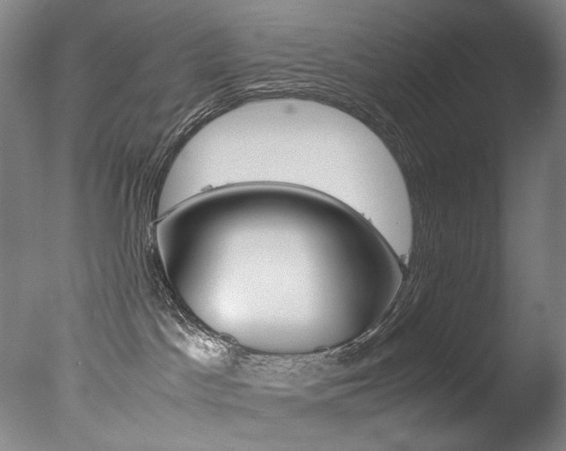 X0000077380045200610201054