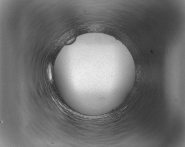 X0000077380046200610201054