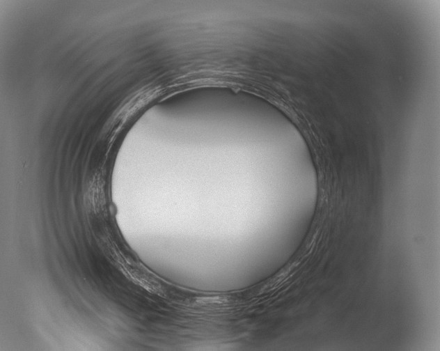 X0000077380050200610201053
