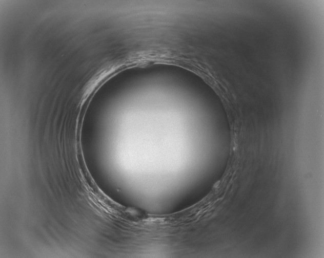 X0000077380052200610201053