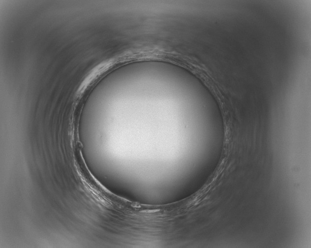 X0000077380054200610201053