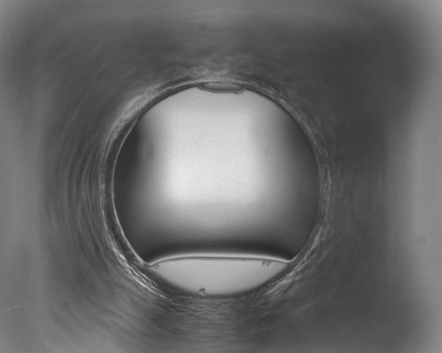 X0000077380055200610201053