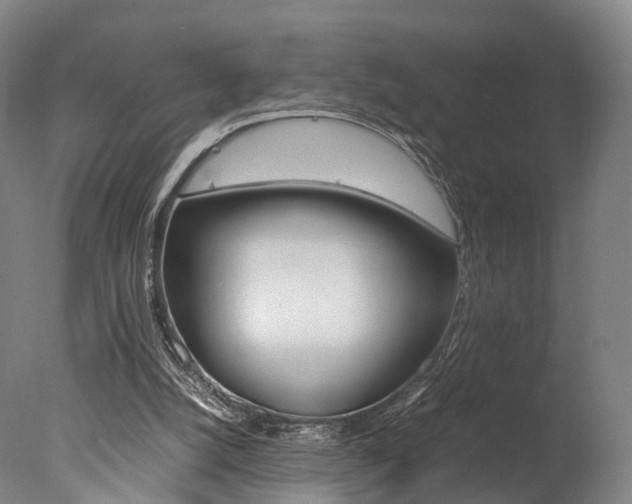 X0000077380056200610201053
