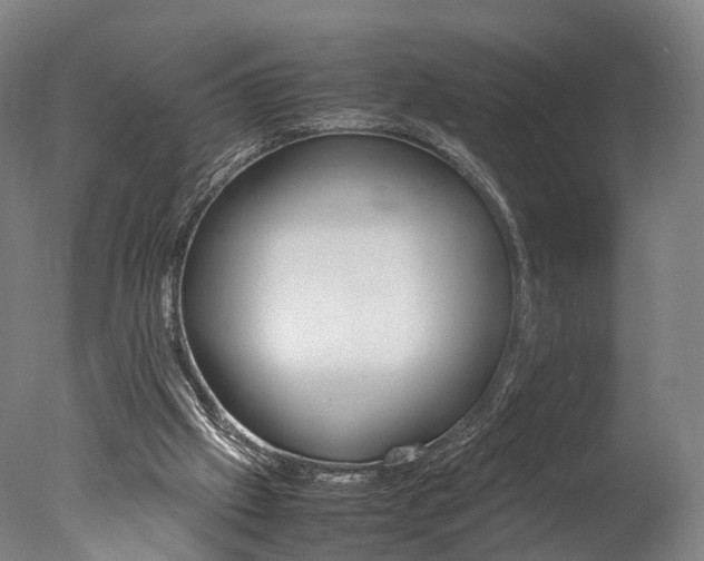 X0000077380057200610201053