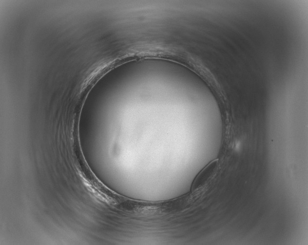 X0000077380058200610201053