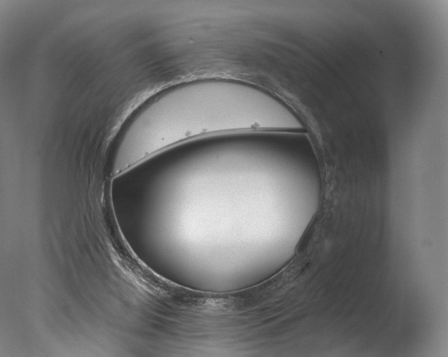 X0000077380060200610201053