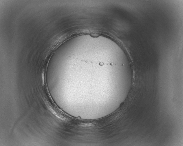 X0000077380061200610201053