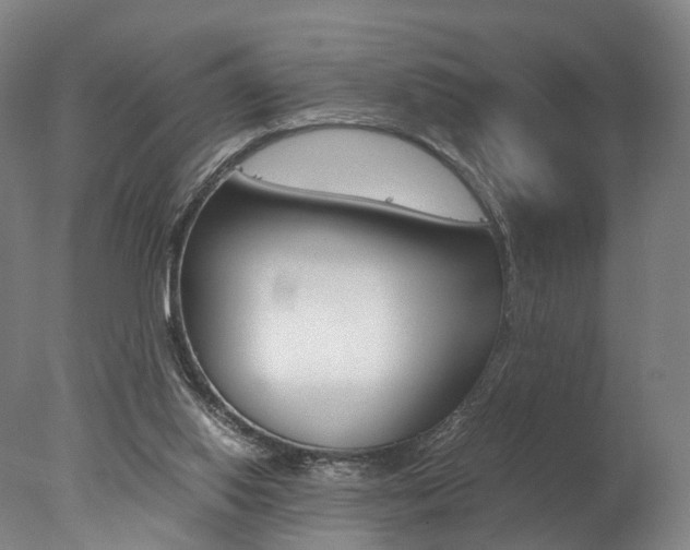 X0000077380062200610201053