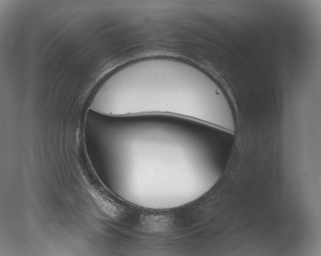 X0000077380063200610201053