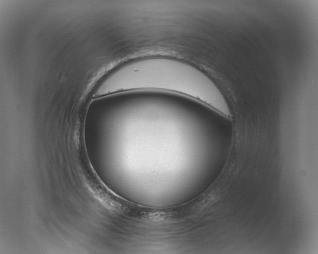 X0000077380064200610201053