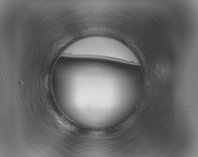 X0000077380066200610201053