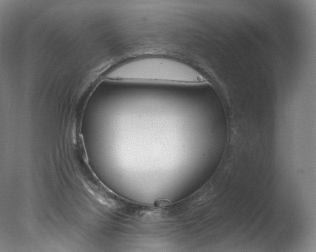 X0000077380068200610201053