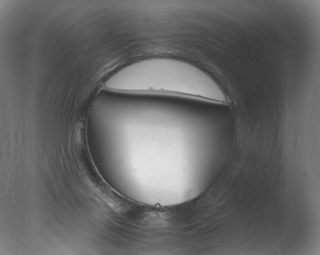 X0000077380071200610201053